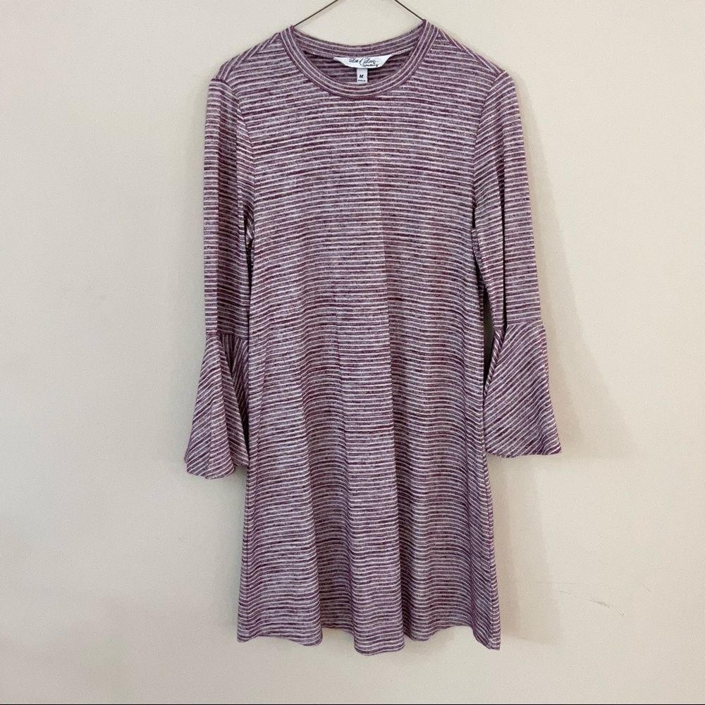 Lots of Love Burgundy Striped Ruffle Sleeve Dress Size M